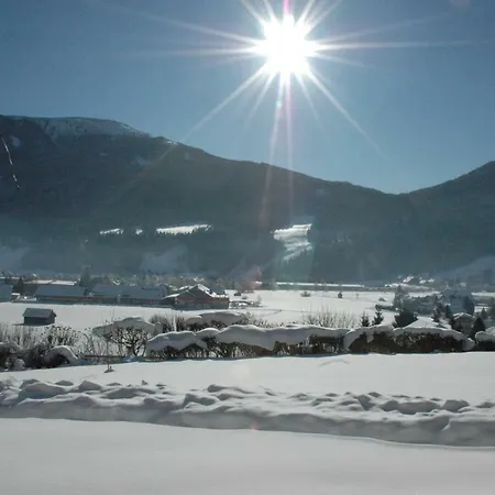 Haus Moser Apartment