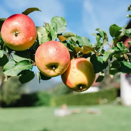 Haus Moser Apartman Sankt Michael im Lungau