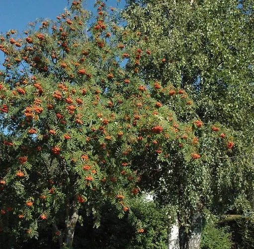 Haus Moser Санкт-Михель (Лунгау)